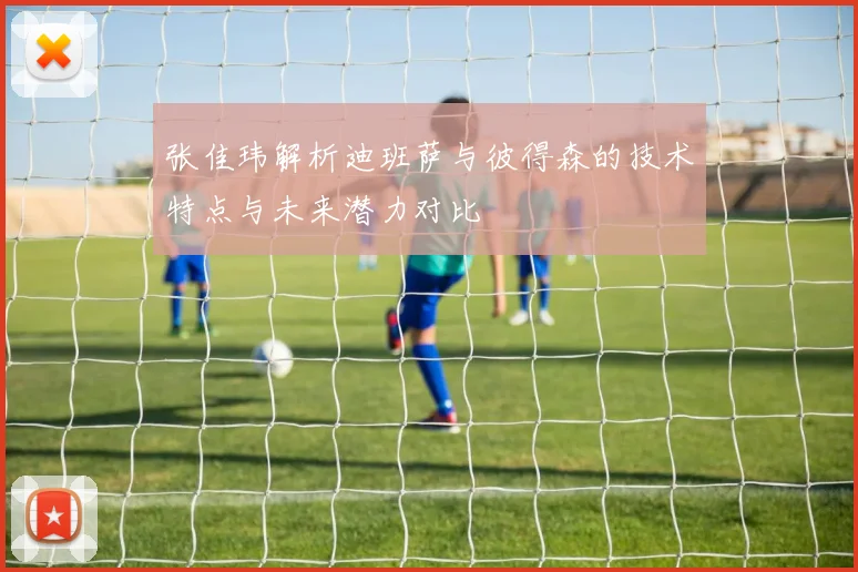 张佳玮解析迪班萨与彼得森的技术特点与未来潜力对比